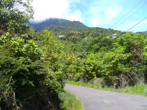 View at Morne A-Louis