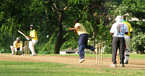 Cricket in the Botanical Gardens